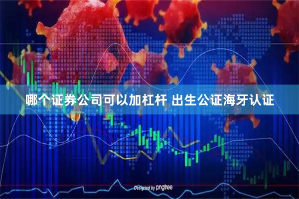 哪个证券公司可以加杠杆 出生公证海牙认证