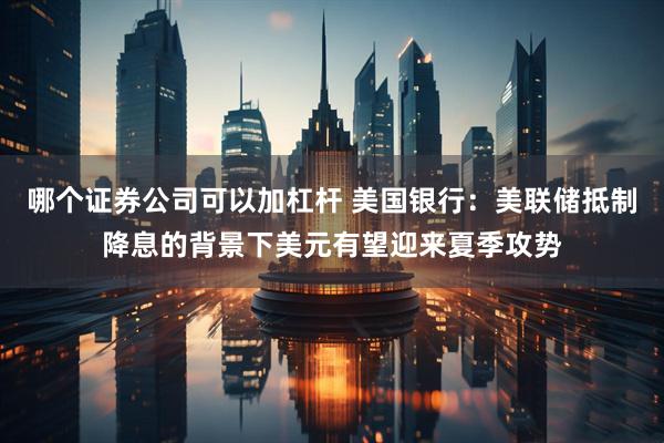 哪个证券公司可以加杠杆 美国银行：美联储抵制降息的背景下美元有望迎来夏季攻势